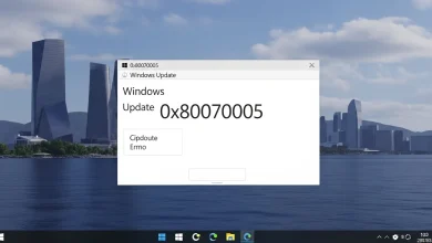 0x80070005 Windows Update Hatasi Teknolojinedir.com