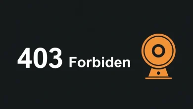 403 Forbidden Hatasi Teknolojinedir.com