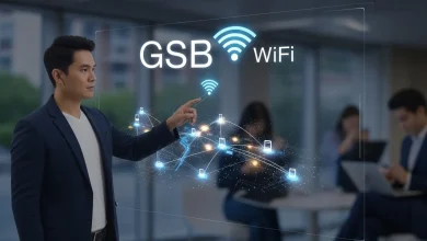 GSB WiFi Nedir