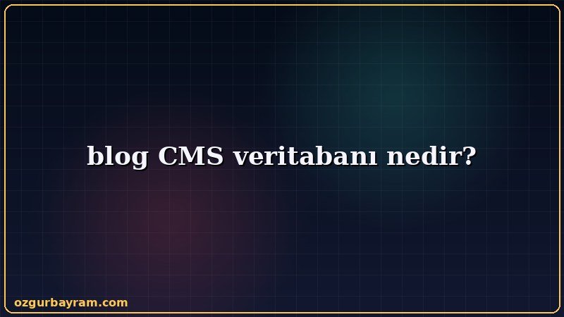 blog CMS veritabanı nedir konusunu özetleyen açıklayıcı görsel
