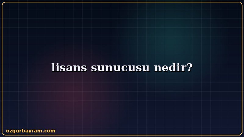 lisans sunucusu nedir konusunu özetleyen açıklayıcı görsel