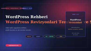 WordPress Revizyonlari Temizleme ve Sinirlandirma Rehberi