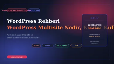 WordPress Multisite Nedir, Kimler Kullanmali?