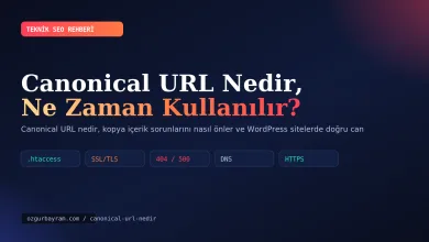 Canonical URL Nedir, Ne Zaman Kullanılır?