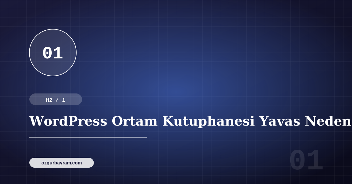 WordPress Ortam Kutuphanesi Yavas Neden Olur?