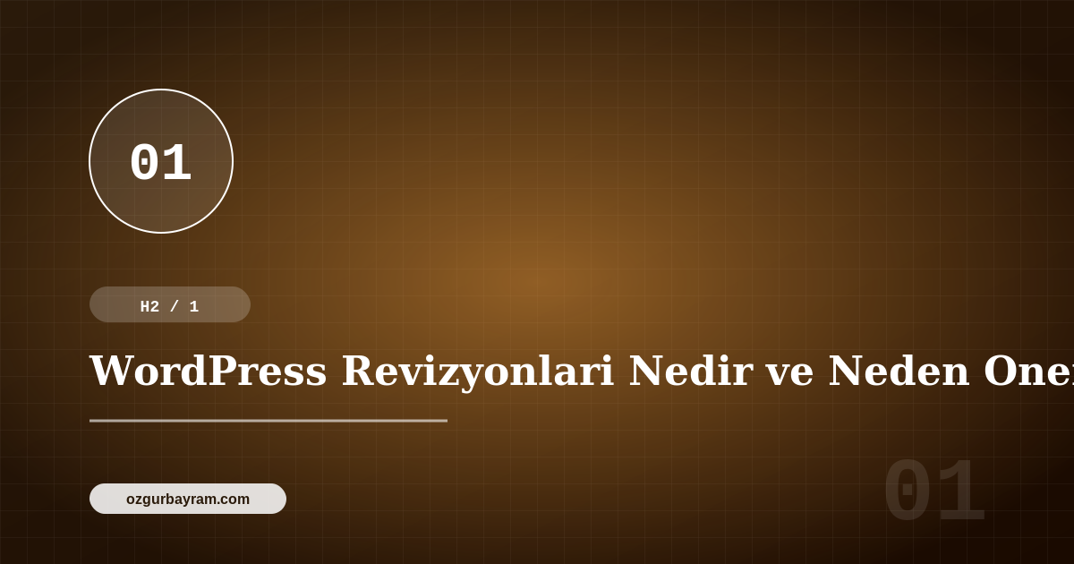 WordPress Revizyonlari Nedir ve Neden Onemlidir?