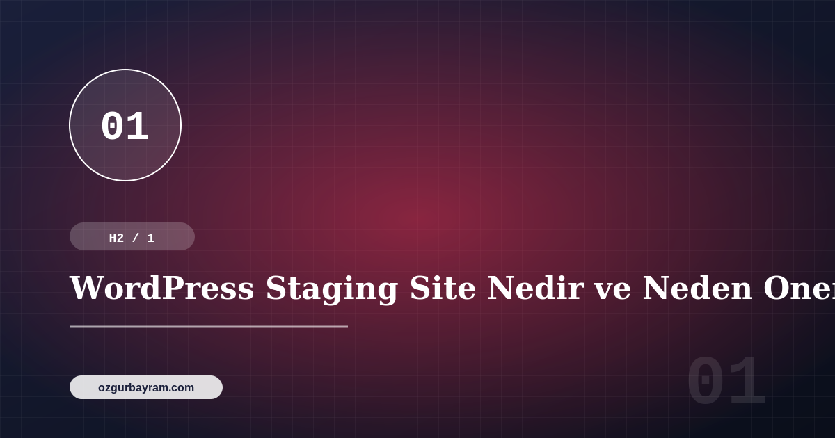 WordPress Staging Site Nedir ve Neden Onemlidir?