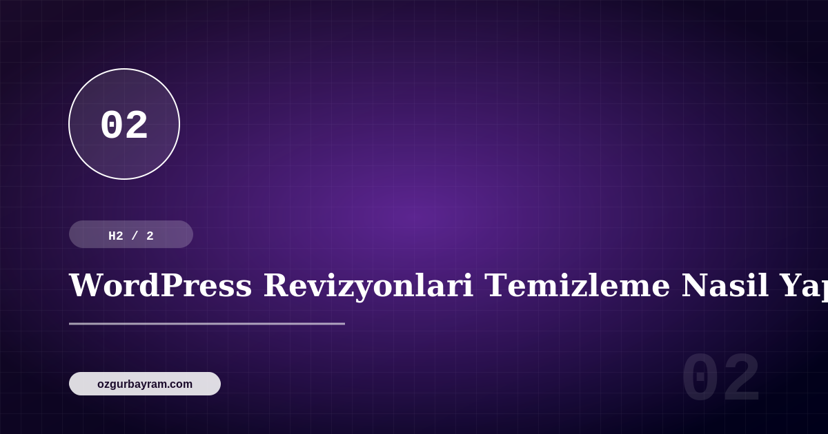 WordPress Revizyonlari Temizleme Nasil Yapilir?