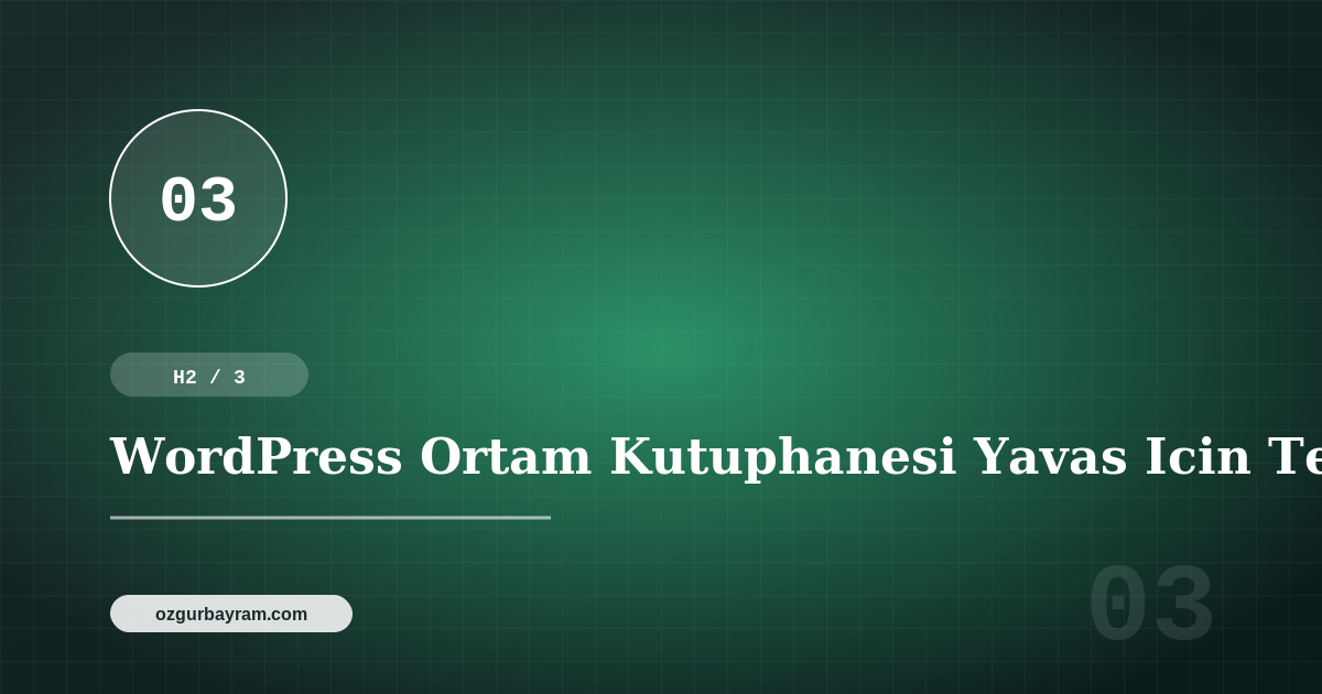 WordPress Ortam Kutuphanesi Yavas Icin Teknik Kontrol Listesi