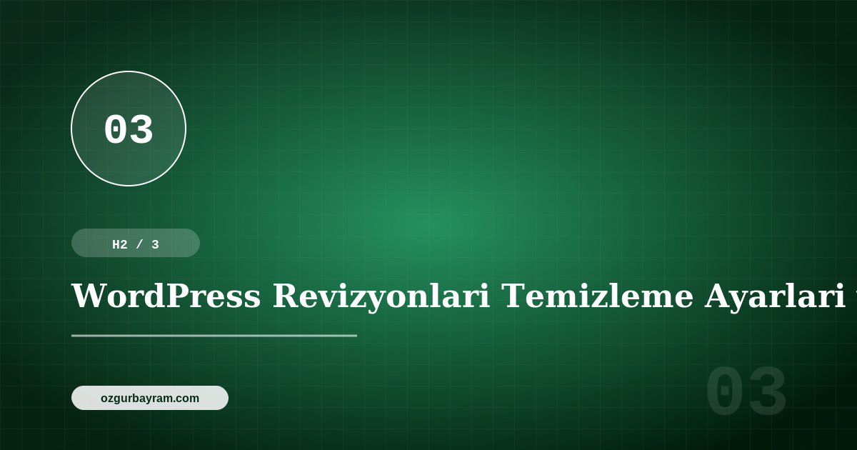 WordPress Revizyonlari Temizleme Ayarlari ve Dikkat Edilmesi Gerekenler