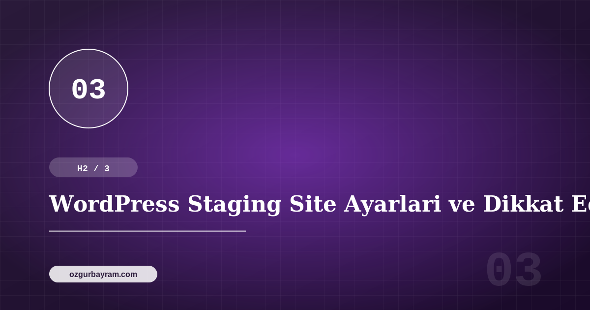 WordPress Staging Site Ayarlari ve Dikkat Edilmesi Gerekenler