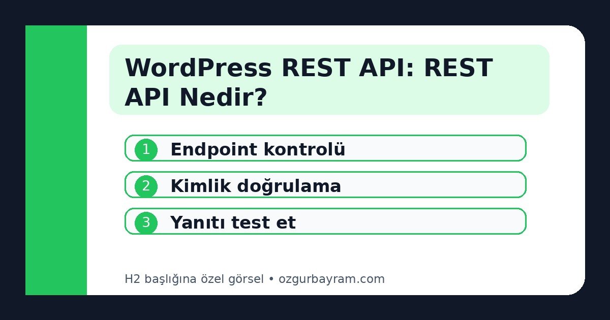 WordPress REST API: REST API Nedir?