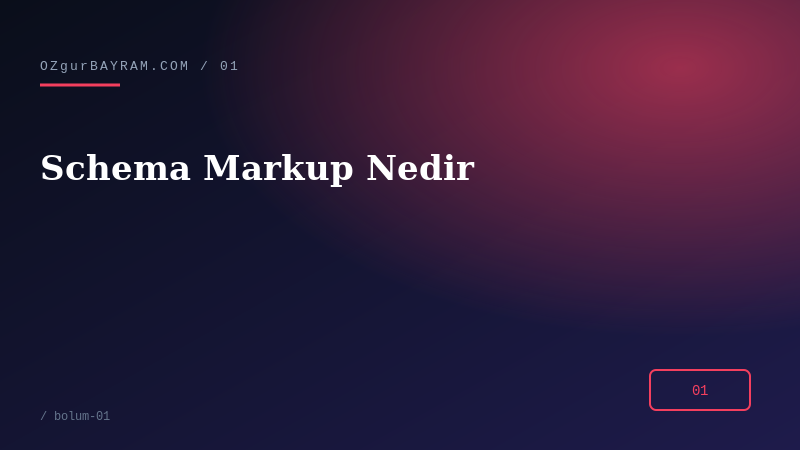 Schema Markup Nedir