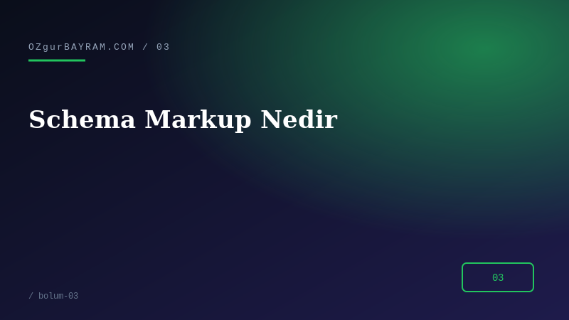 Schema Markup Nedir