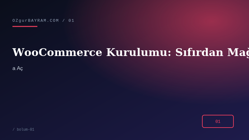 WooCommerce Kurulumu: Sıfırdan Mağaza Açma Rehberi