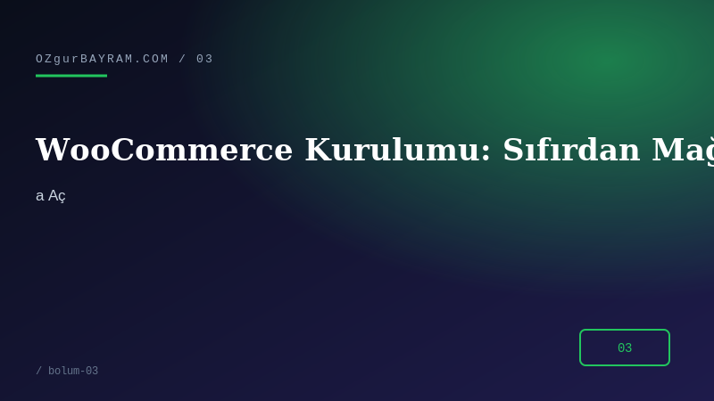 WooCommerce Kurulumu: Sıfırdan Mağaza Açma Rehberi