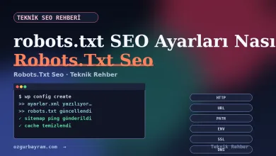 robots.txt SEO