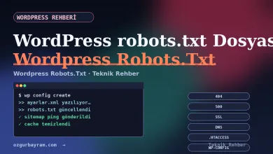 WordPress robots.txt