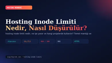 Hosting Inode Limiti Nedir, Nasıl Düşürülür?