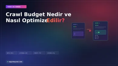 Crawl Budget Nedir ve Nasıl Optimize Edilir?