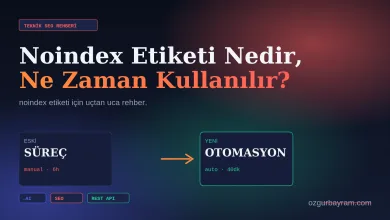 Noindex etiketinin ne olduğunu ve ne zaman kullanıldığını anlatan rehberin kapak görseli
