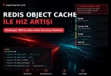 WordPress'te Redis Object Cache Kurulumu ve Hız Artışı