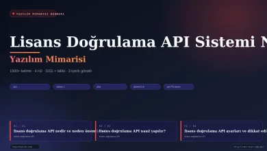 Lisans Doğrulama API Sistemi Nasıl Kurulur? - kapak görseli