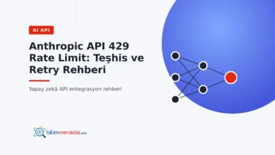 Anthropic API 429 Rate Limit: Teşhis ve Retry Rehberi
