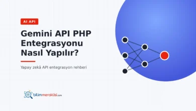 Gemini API PHP Entegrasyonu Nasıl Yapılır?