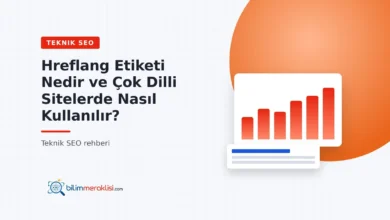 Hreflang Etiketi Nedir ve Çok Dilli Sitelerde Nasıl Kullanılır?