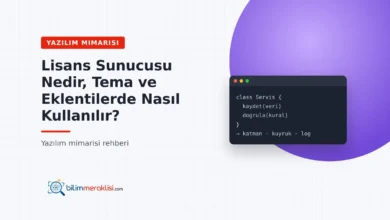 Lisans Sunucusu Nedir, Tema ve Eklentilerde Nasıl Kullanılır?