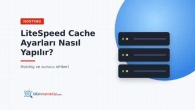 LiteSpeed Cache Ayarları Nasıl Yapılır?