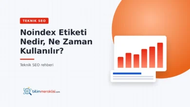 Noindex Etiketi Nedir, Ne Zaman Kullanılır?