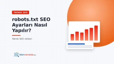 robots.txt SEO Ayarları Nasıl Yapılır?