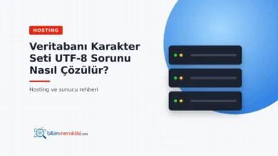Veritabanı Karakter Seti UTF-8 Sorunu Nasıl Çözülür?