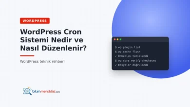 WordPress Cron Sistemi Nedir ve Nasıl Düzenlenir?