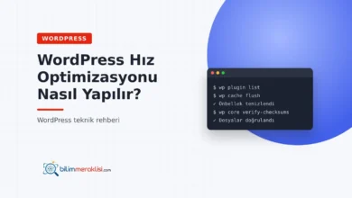 WordPress Hız Optimizasyonu Nasıl Yapılır?