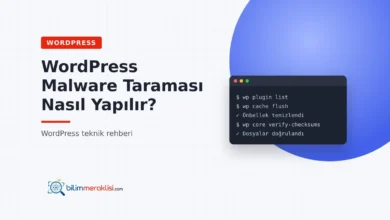 WordPress Malware Taraması Nasıl Yapılır?