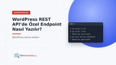 WordPress REST API’de Özel Endpoint Nasıl Yazılır?