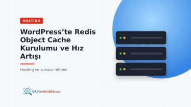 WordPress’te Redis Object Cache Kurulumu ve Hız Artışı