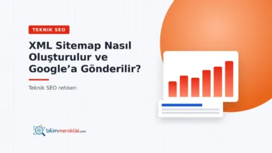 XML Sitemap Nasıl Oluşturulur ve Google’a Gönderilir?